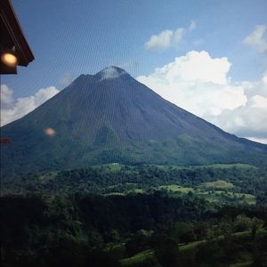 Meet your Posher, Riley